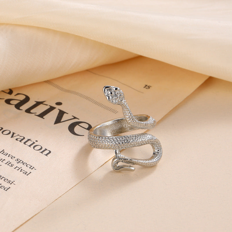 Argent Bague charmant pour toute occasion